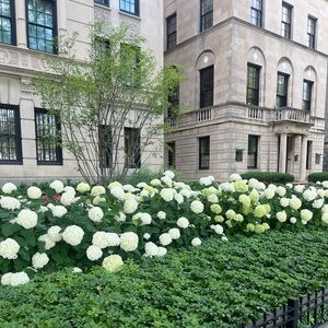 Meet your Posher, Anita